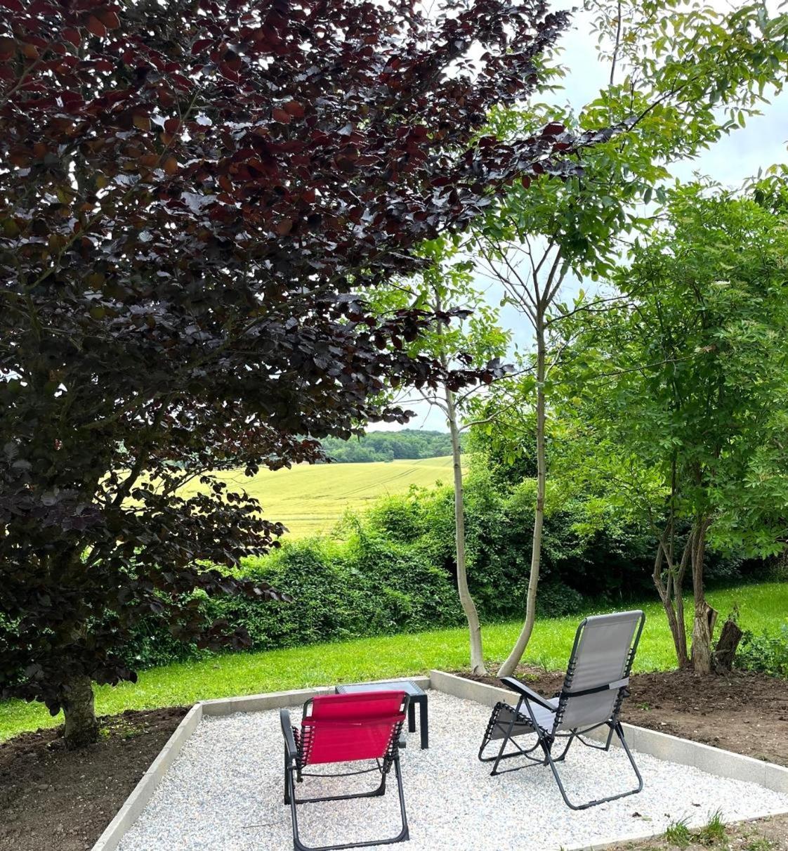 La Demeure D'Othe Bed and Breakfast Sormery Eksteriør billede